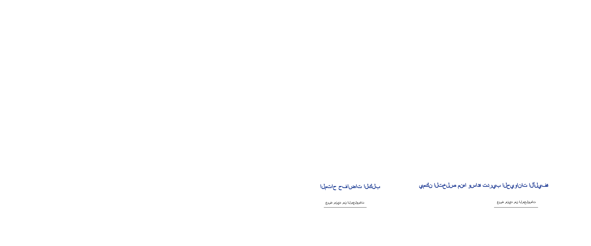 a4莆田市凯达banner 拷贝