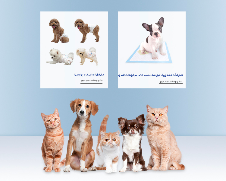 a4莆田市凯达移动端banner 拷贝